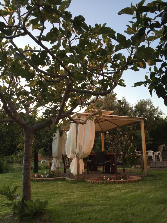 B&B Villa Magna Grecia Lazzaro Dış mekan fotoğraf