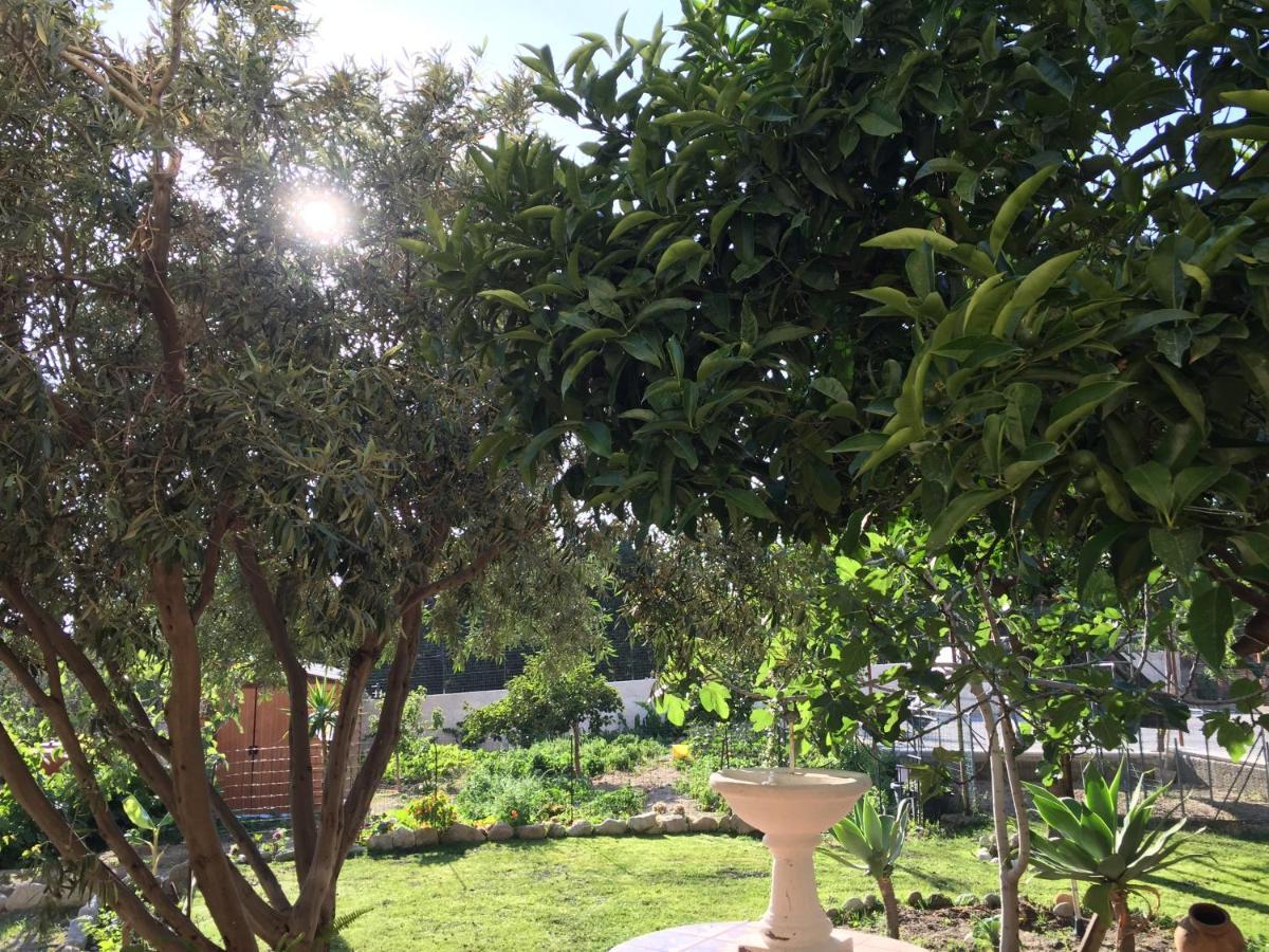 B&B Villa Magna Grecia Lazzaro Dış mekan fotoğraf